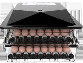 孵蛋機 孵鵝蛋 雞蛋 鴨蛋 鳥蛋 自動控溫 自動翻蛋 孵蛋器 孵爬蟲蛋 104枚 電壓110v
