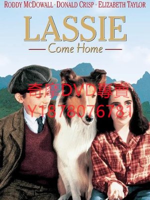DVD 1943年 靈犬萊西/Lassie Come Home 電影