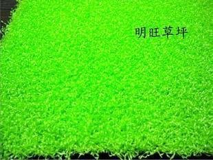 INPHIC-人造草坪 塑料草皮 仿真草坪 陽臺 地毯 高爾夫 人工草每平方米