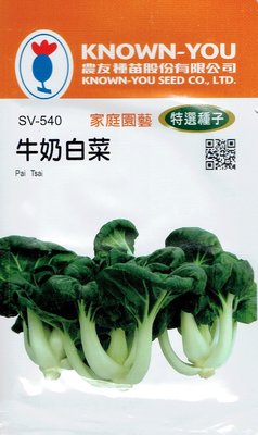 四季園 牛奶白菜 Pai Tsai (sv-540) 奶油白菜 【蔬菜種子】農友種苗特選種子 每包約3公克