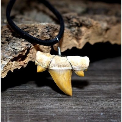 天然耳齒鯊魚牙齒化石古生物化石原石標本個性回流手工牙飾品吊墜凌雲閣化石隕石 促銷
