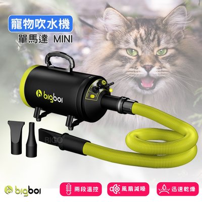 【少量現貨】bigboi MINI 寵物單馬達吹水機  吹風機 寵物美容 寵物吹毛 寵物吹水機 單馬達吹風機