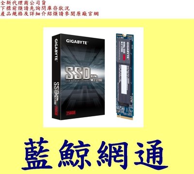 技嘉 GIGABYTE NVMe SSD 256GB 256G 固態硬碟 GP-GSM2NE3256GNTD