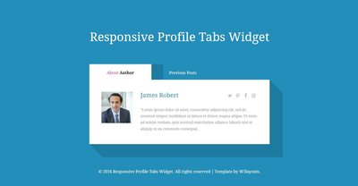 Responsive Profile Tabs Widget 響應式網頁模板、HTML5+CSS3  #03022A