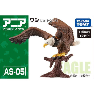 TOMICA ANIA AS-05老鷹AN13959 探索動物 多美動物園