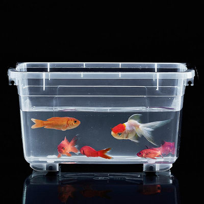 高透明塑料箱養魚養龜箱桌面手提收納箱收納盒戶外車載釣魚箱魚缸