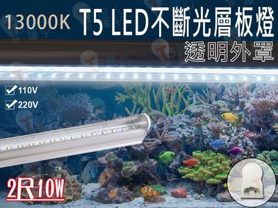 T5達人~T5LED不斷光一體成型層板燈 透明外罩2尺10W 13000K 白光 水族燈 養蝦
