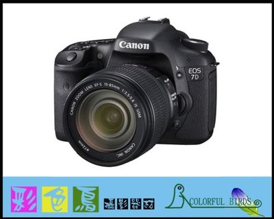 彩色鳥(相機出租 鏡頭出租)Canon 7D + Canon EF 100-400mm f4.5-5.6 L IS USM