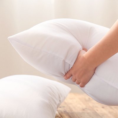 桌巾沙發抱枕枕芯 枕頭枕芯 靠枕芯 抱枕芯 30X50 50X50 55X55