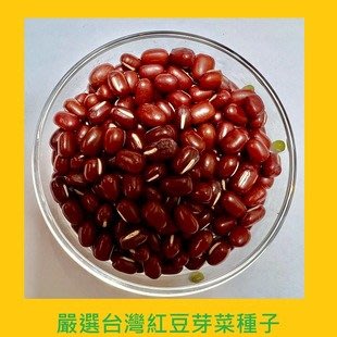 台灣PIH嚴選-紅豆芽菜專用種子 150ml-防潮袋-種子花苗