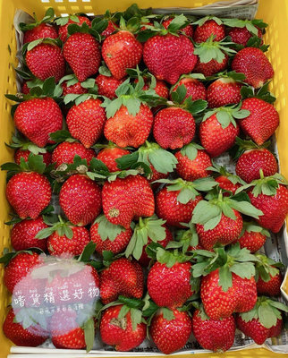結束❌❌免運 🚛 2.5斤裝 大湖草莓香水草莓 豐香草莓