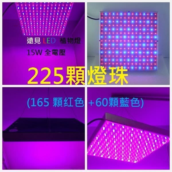 遠見led Led植物燈 Led植物生長燈 園藝燈 水草燈 Led植物補光燈 水族燈 15w Led材料批發 Yahoo奇摩拍賣