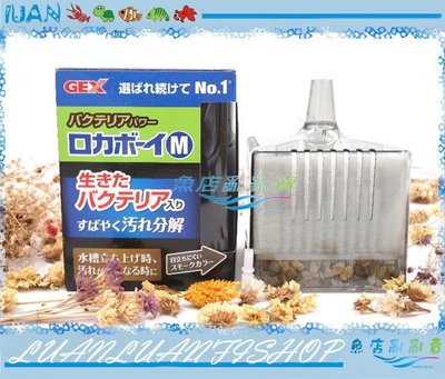 【~魚店亂亂賣~】日本GEX五味J-95納豆菌淨水過濾器M型(水妖精)氣動過濾器.水中沉水過濾