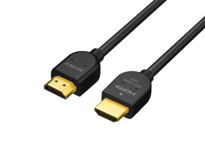 SONY DLC-HJ10 HDMI 線材 1M 線 長度 1公尺 （1.0m）