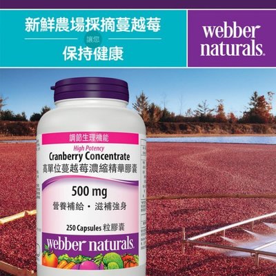 (漾霓)-代購~ Webber Naturals 高單位蔓越莓濃縮精華膠囊 250 粒- 994336 代購商品下標詢問