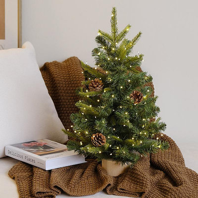 小型圣誕樹裝飾新款仿真樹家用迷你桌面裝飾聖誕樹擺件高級感裸樹-奇點家居