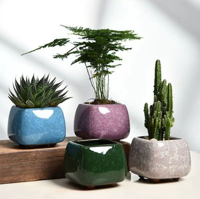 多肉植物 花盆 冰裂 彩釉 陶瓷 方形 簡約設計 共6色一套 質感超好 居家擺設 實品更美 有三套樣式