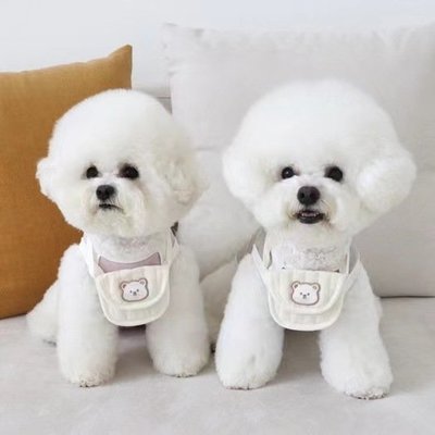 韓國ins新款可愛迷你寵物小背包 狗狗包 拍照配裝飾品道具pets外貿 寵物用品 狗用品