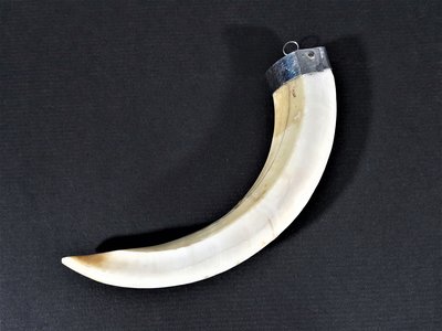 [銀九藝] 早期長約~11.4公分 山豬牙 野豬牙 大獠牙項墬 項鍊 吊飾 (3)