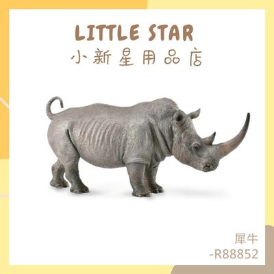 LITTLE STAR 小新星【小牛津-柯雷塔collectA 犀牛】英國高擬真模型