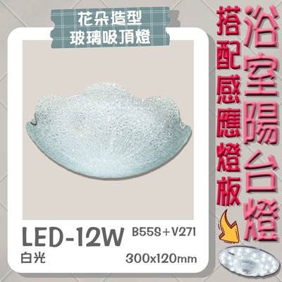 【EDDY燈飾網】台灣現貨(B55S+V271)LED-12W 感應式花朵造型浴室陽台燈 白光 適用於浴室陽台照明