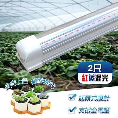 1入組 T8 植物燈管規格 2呎 免支架 一體式鋁合金散熱器 LED紅藍混光 植物生長燈