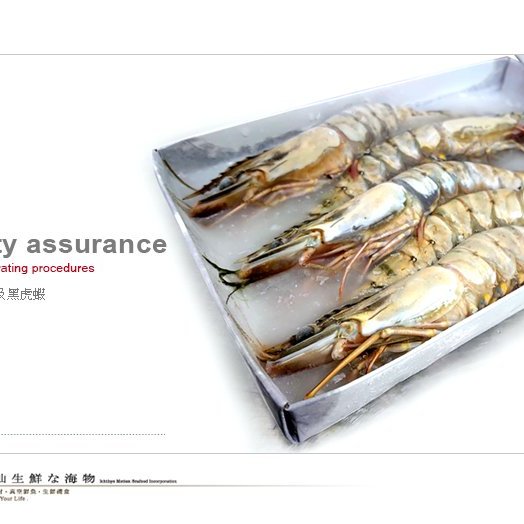 水汕海物 南亞越南的頂級黑虎蝦 大草蝦5p 赤足海老 門市熱銷 品質保證 Yahoo奇摩拍賣