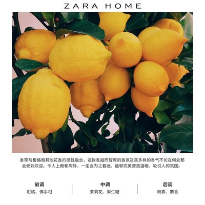 熱銷 Zara Home黑香草香型固體香氛香薰蠟燭禮物禮品200g 41033705800