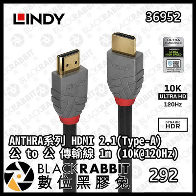 數位黑膠兔【 LINDY林帝 36952  36953 ANTHRA系列 HDMI 2.1(Type-A) 公 to 公 傳輸線 1m  2m 】