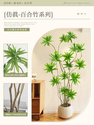 仿生綠植百合竹室內高級裝飾擺件客廳落地仿真樹盆栽奶油風假植物~優樂美