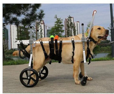 寵物輪椅狗全身癱瘓推車老年狗代步車大型犬四肢無力輔助車助力車