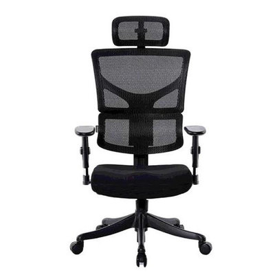 Ergoking 網布人體工學椅  COSCO代購  W132326