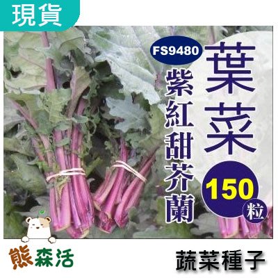 ～全館滿790免運～紫紅甜芥蘭菜種子(紅芥藍) 約150粒 【熊森活】