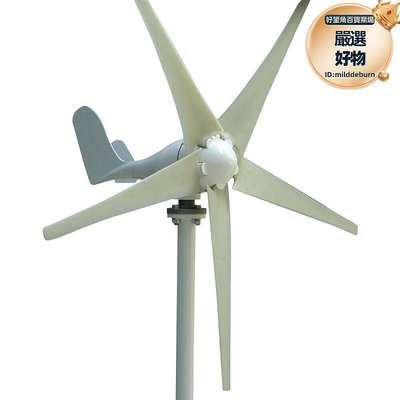 爆款小型風力發電機 s型5葉片風力發電機
