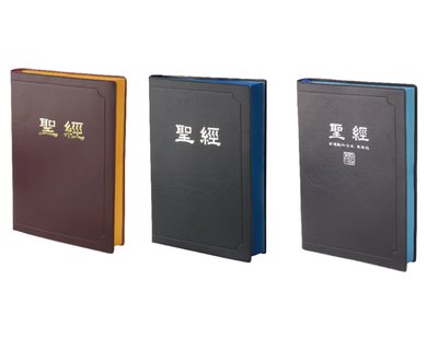【中文聖經新標點和合本】CUNPCS072 上帝版 或 神版  橫排型 串珠 膠面 共三款