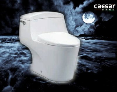 【阿貴不貴屋】 凱撒衛浴 C1353-30CM   虹吸式 馬桶 省水單體馬桶