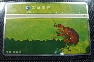 【YUAN】中華電信 光學式電話卡 編號8005 捲葉象鼻蟲