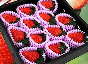 "草莓一族"日本草莓種子/大妃美(おおきみ)草莓種子/30粒入種子