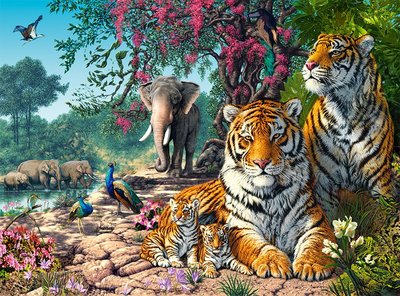 300600 3000片歐洲進口拼圖 CAS 繪畫動物 老虎 大象 孔雀 美麗的棲息地