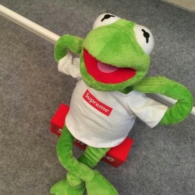 【熱賣精選】supreme青蛙公仔芝麻街科密特青蛙Kermit科密蛙絨毛玩偶-LK9647
