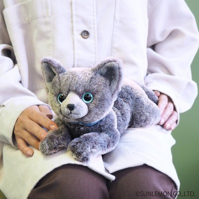 日本sunlemonoriginal仿真俄羅斯藍貓毛絨玩具公仔可愛床上抱著睡仿真公仔毛絨玩具