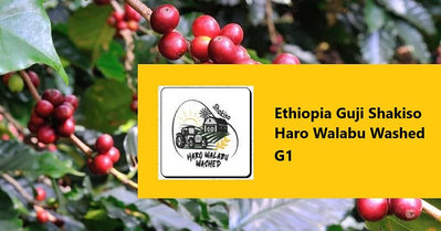 生豆✨5KG｜衣索比亞 谷吉 夏奇索 瓦力處理廠 水洗 G1｜咖啡生豆 COFFEE BEAN