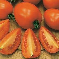 ↖　黃金橙蜜蕃茄　(種子)　↗