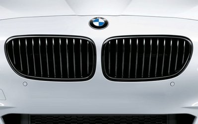 【樂駒】DINAN BMW F10 5 Series 水箱罩 水箱護罩 高光黑 鼻頭 空力 外觀 套件 精品 改裝
