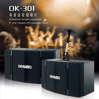 【辰釧音響】OKAUDIO 專業級懸吊式KTV歌唱喇叭(OK-301)