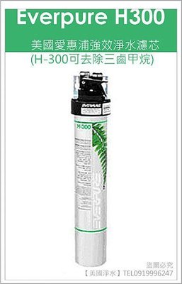 【美國淨水】美國愛惠浦EverpureH-300強效淨水濾芯(台灣濱特爾公司貨)另有S100、S104、H104、ADC