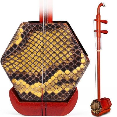熱銷現貨-(包教會)蘇州紅木二胡樂器初學者入門兒童老人演奏專業銅軸胡琴~特價