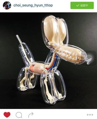 Big Bang Top 收藏品 紐約藝術家 Jason Freeny 拼裝玩具透明狗 透明熊 骨骼解剖模型 一組