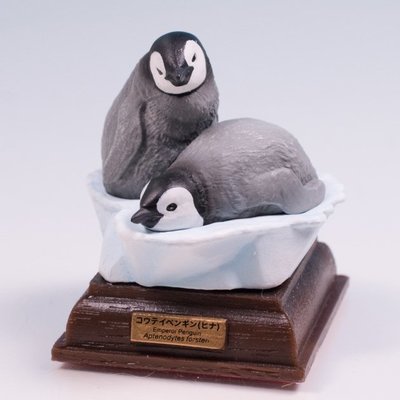 【售完-扭蛋 轉蛋】日本 NTC圖鑑 南極大陸生命紀行 企鵝 超細膩，超寫實，體態超美  (嬰兒 幼兒 北鼻 組合)