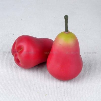 [MOLD-D085]高仿真水果假水果模型 櫥櫃展示裝飾品 進口仿真蓮霧 加重型